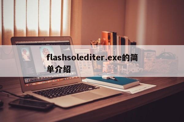 flashsolediter.exe的简单介绍