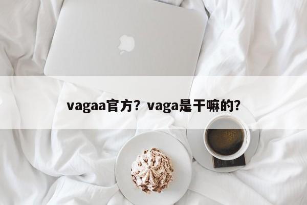 vagaa官方？vaga是干嘛的？